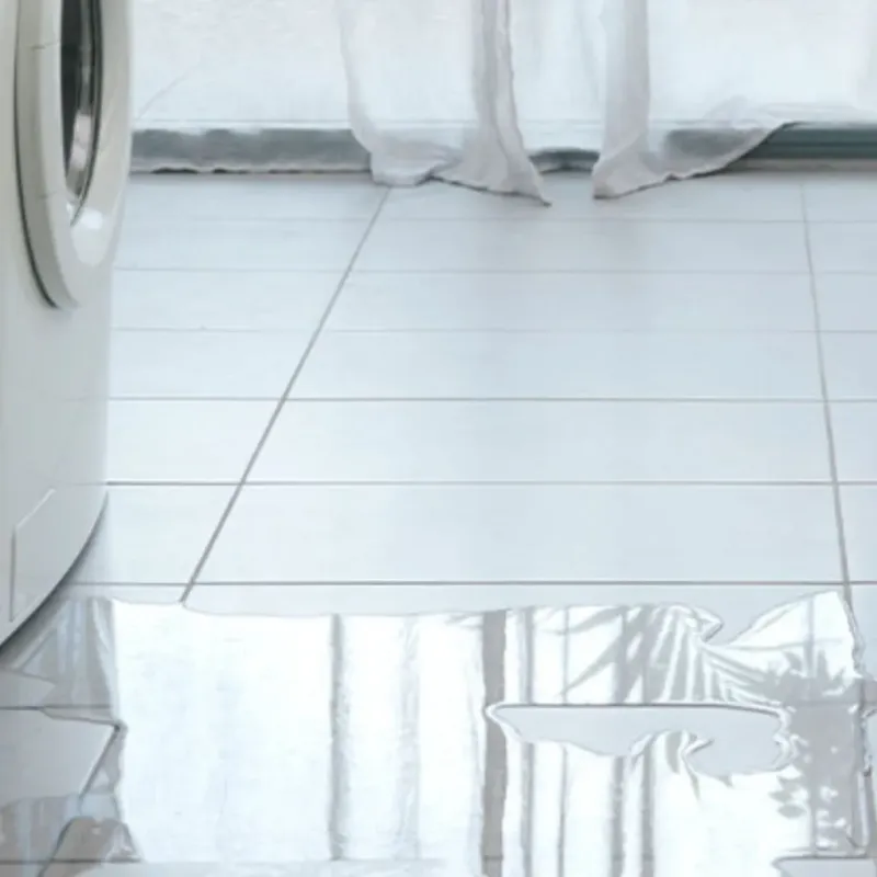 Appliance Leak Cleanup in Nacogdoches, TX