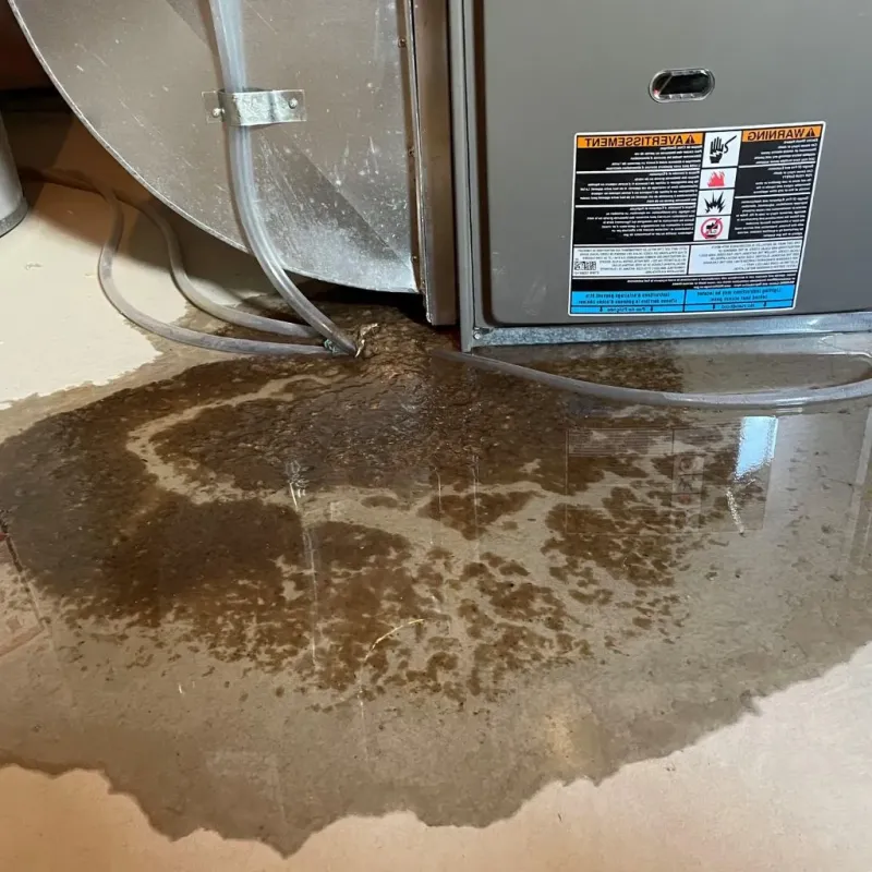 Pipe Burst and Leak Restoration in Nacogdoches, TX