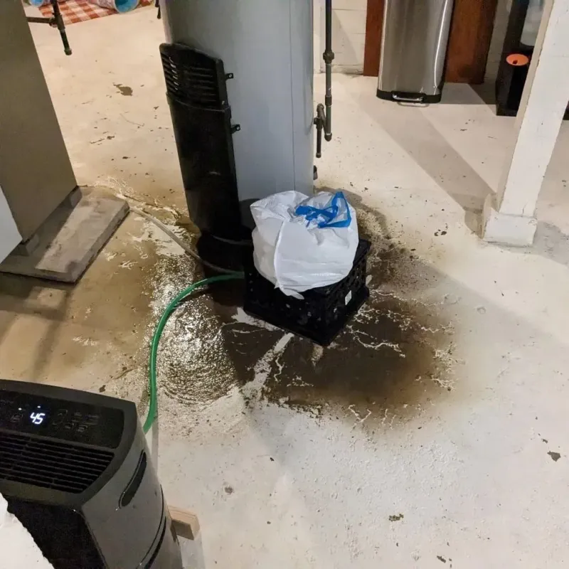 Sewage Backup Cleanup Service in Nacogdoches, TX